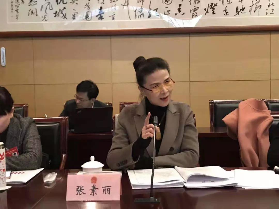 使命讲述身边碑林人大代表的故事40张素丽惊鸿一笔的靓丽名片